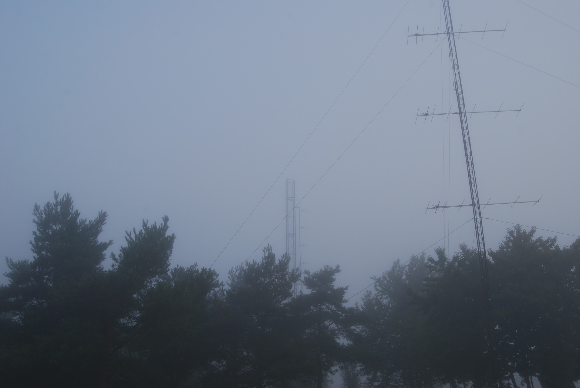 Sunday morning with fog